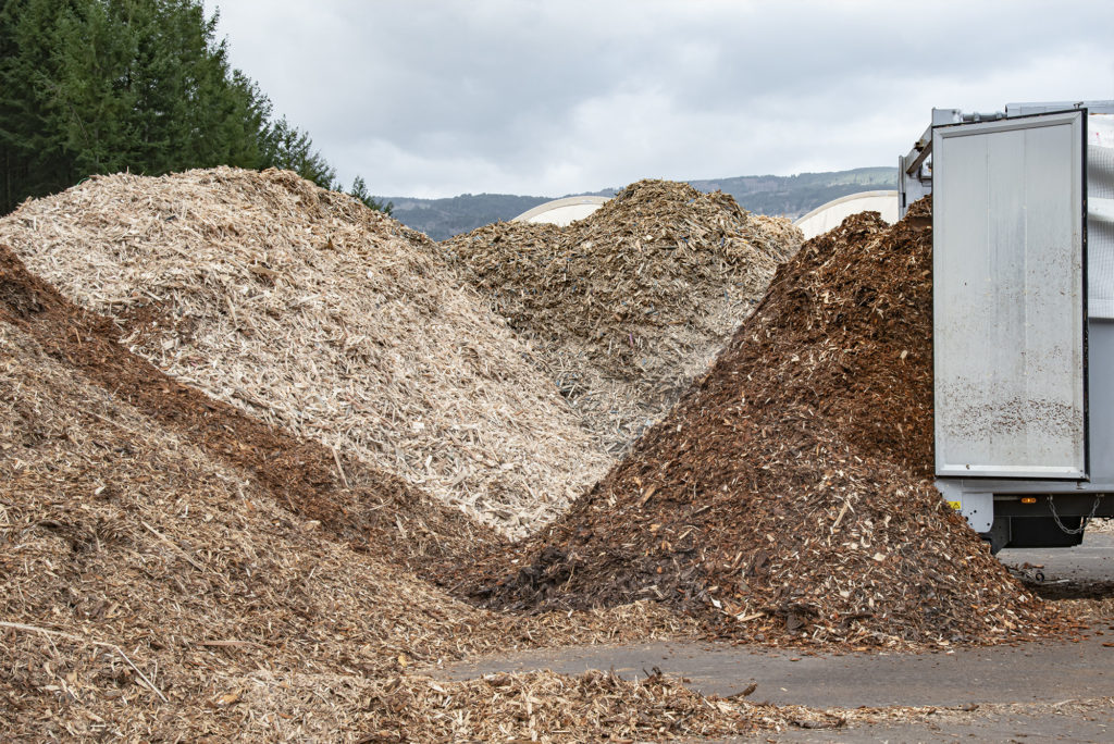 Collecte écorces de bois